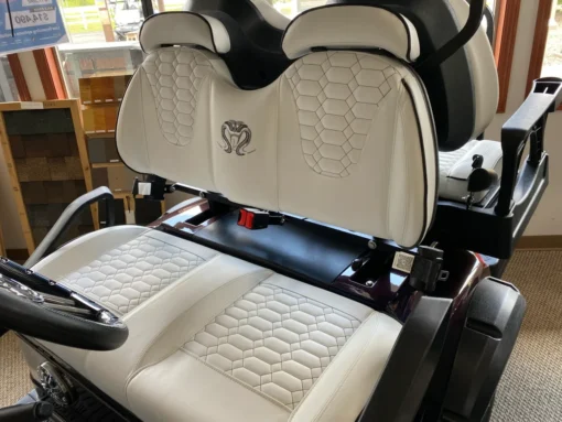 venom 4 golf cart Pittsburgh Pennsylvania scaled qsprsbvlw8zmu7dzv7n9xqjaj92aatt7th7qxa9nvs